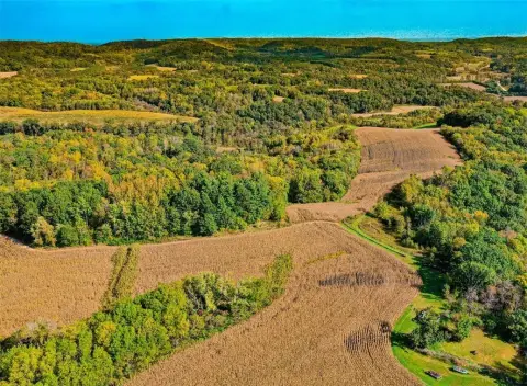 Secluded Hilltop Land in Bangor, WI