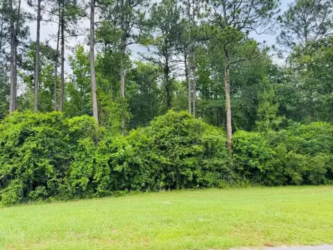 Residential Lot in Wildwood