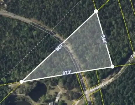 Trenton, SC Land Opportunity