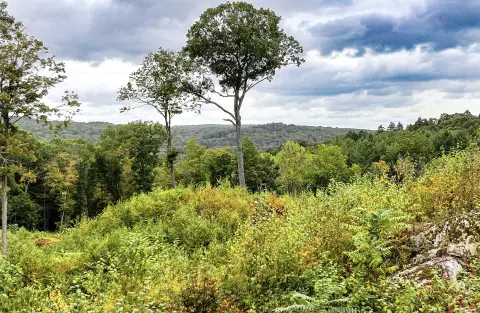 Land in Washington, Connecticut