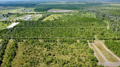 Peaceful Acreage in Wewahitchka, FL