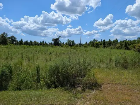Expansive Coastal Land Opportunity