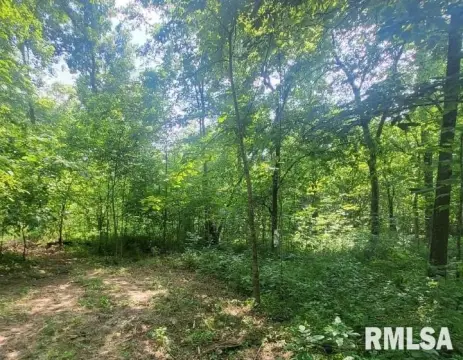 39 Acres in Fairfield, IL