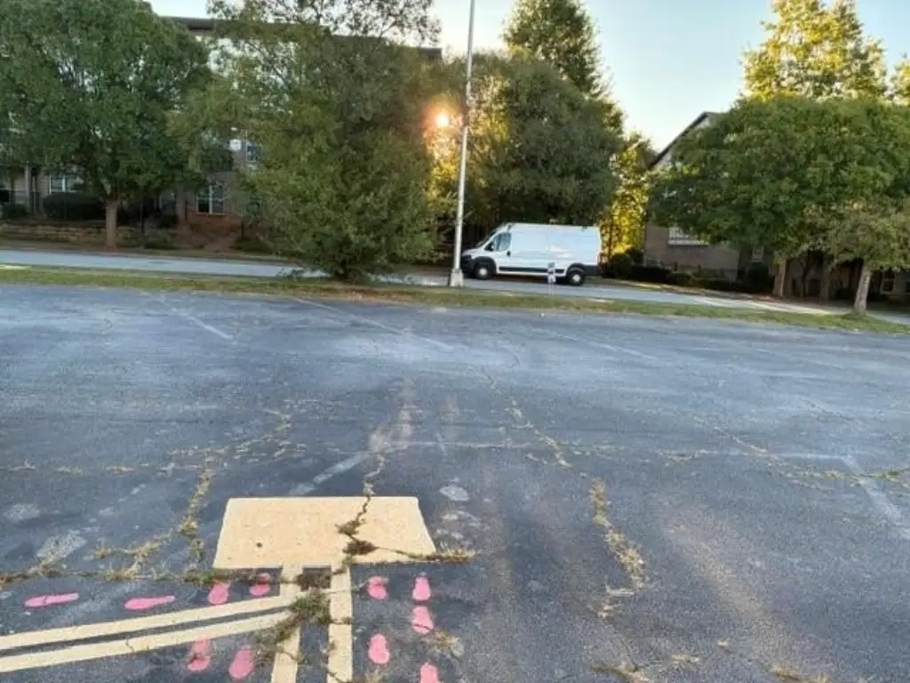 Picture 15