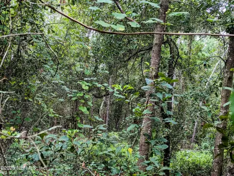 Keystone Heights Vacant Land