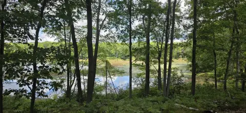 Waterfront Land on Sutherland Lake