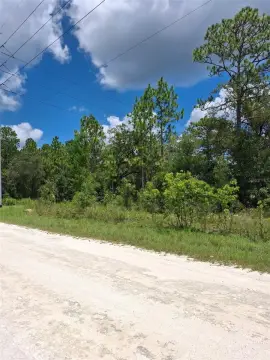 Residential Land in Weeki Wachee