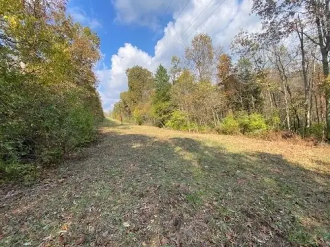 Land in Brooksville, Kentucky