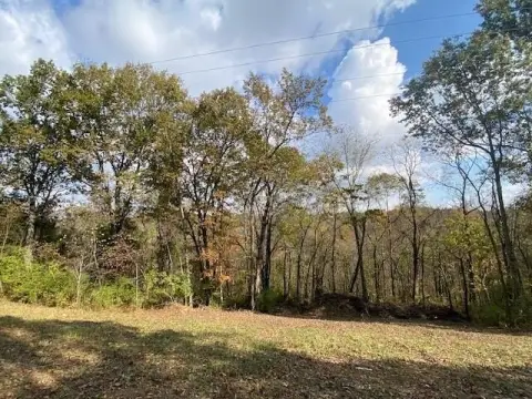 Picture of Land at Galbraith Rd 697, Brooksville, KY