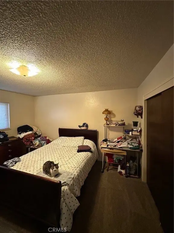 Picture 31