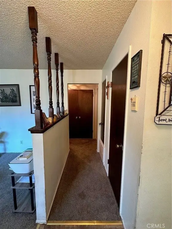 Picture 24