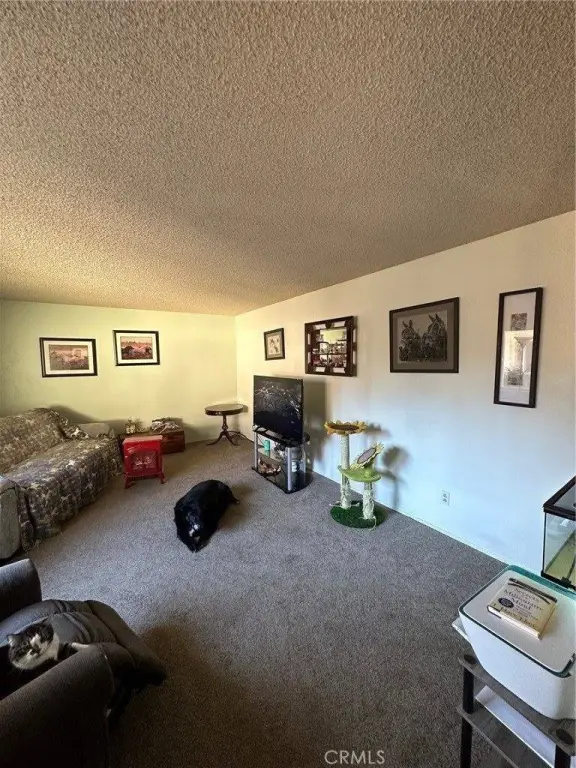 Picture 33