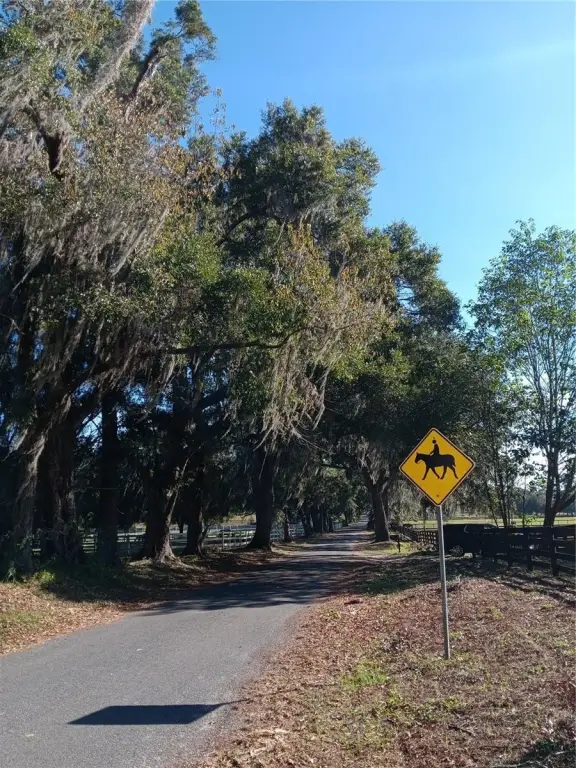 Picture 24