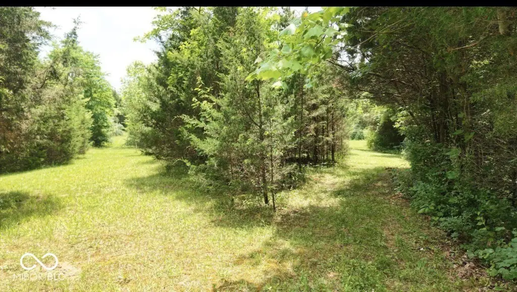 Picture 13
