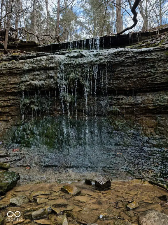 Picture 17