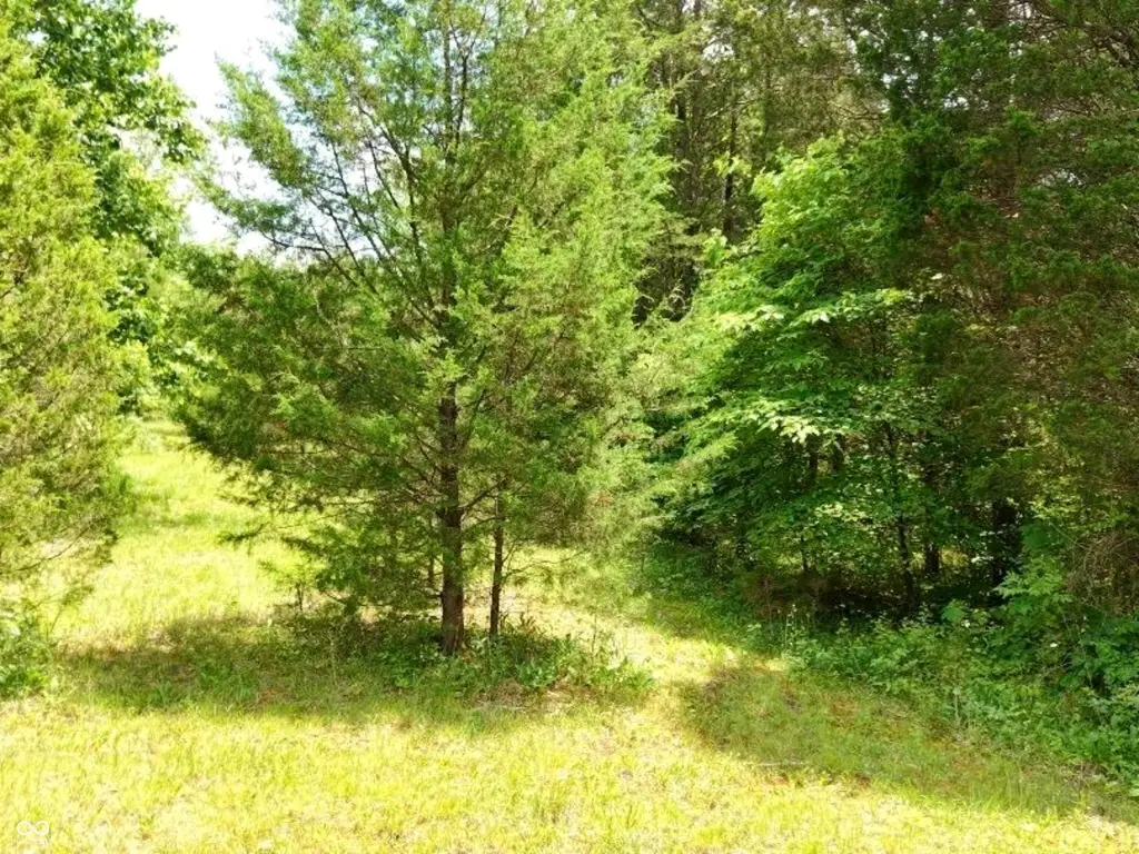 Picture 15