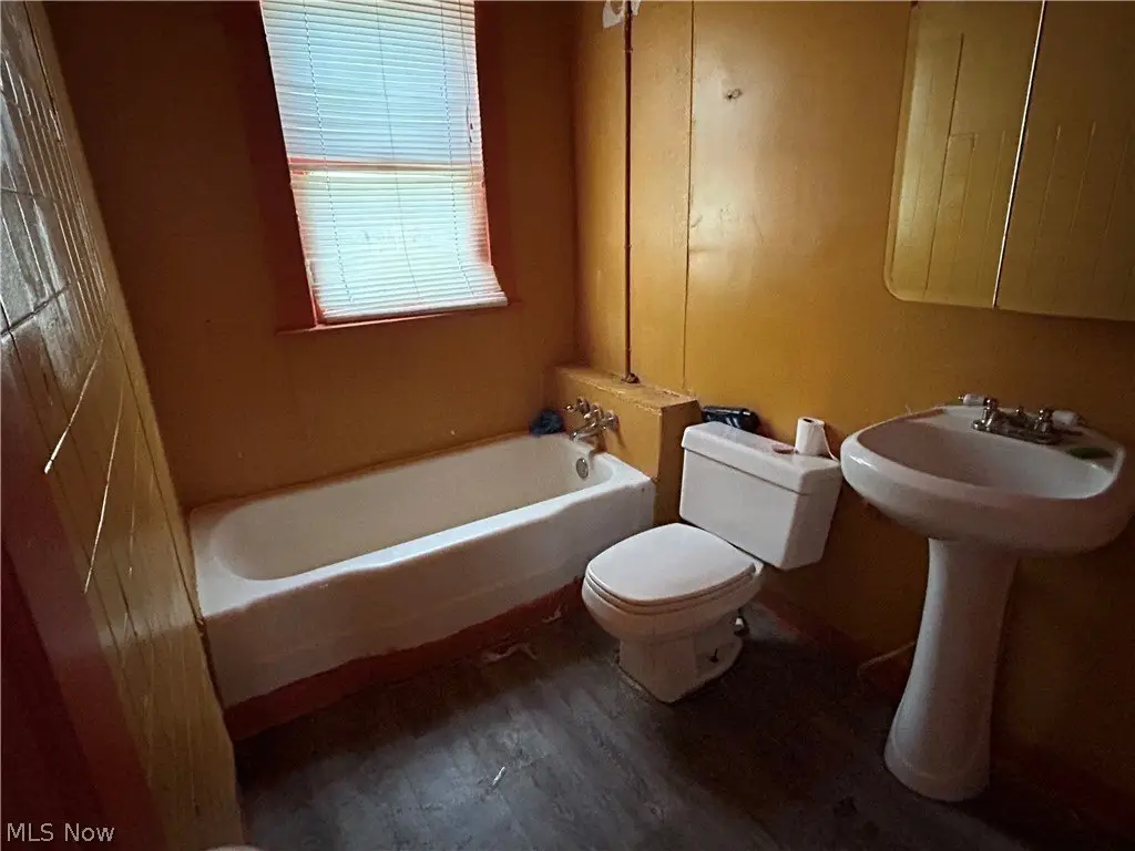 Picture 24