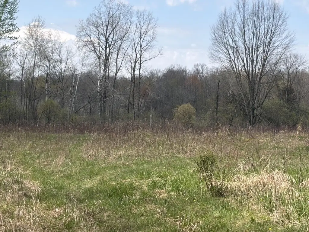 Picture 20