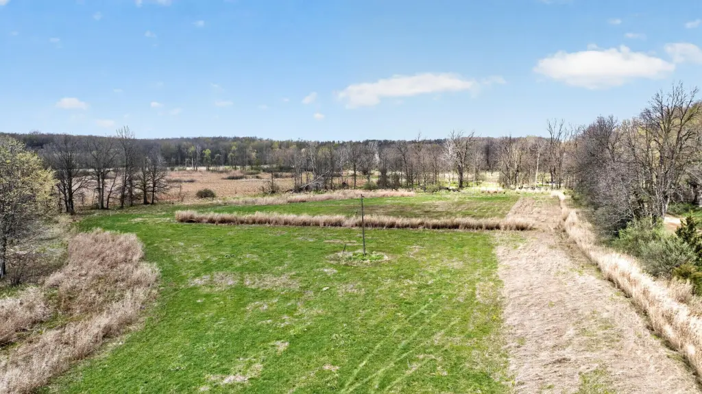 Picture 31
