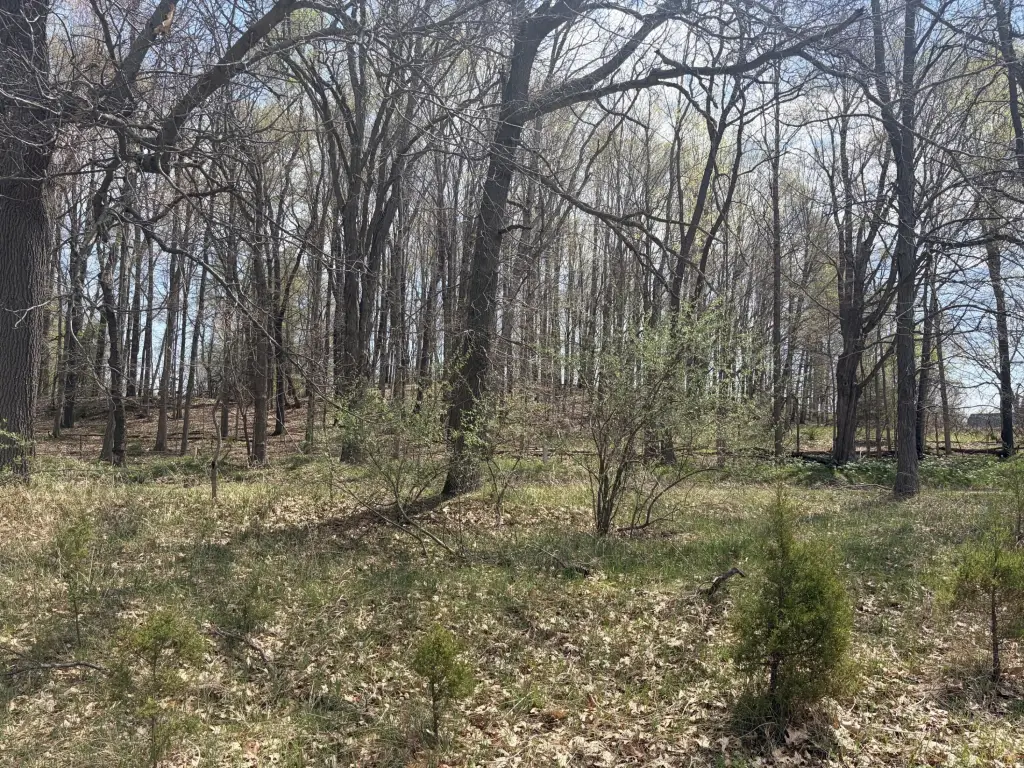 Picture 8