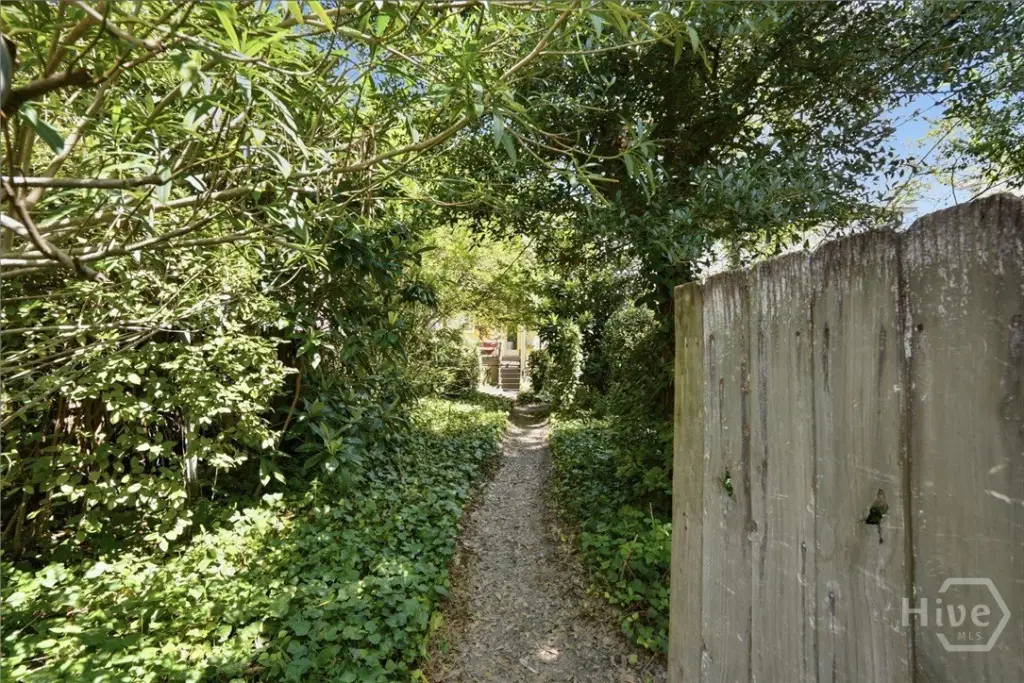 Picture 16