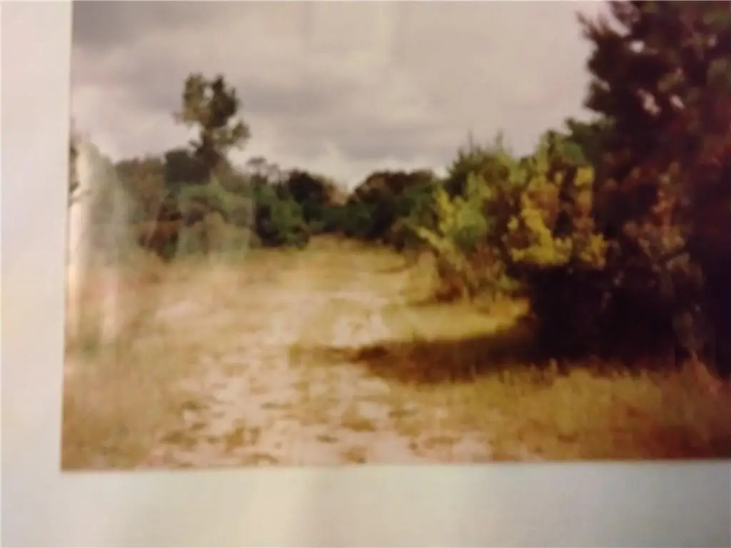 Picture 3