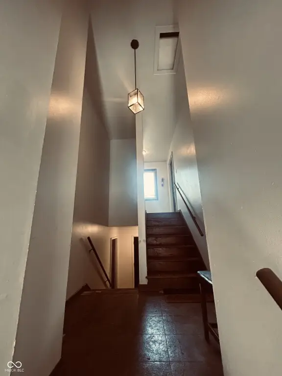 Picture 23