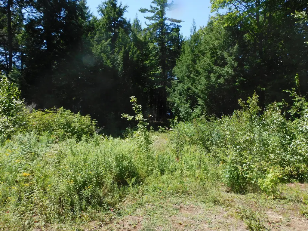 Picture 12