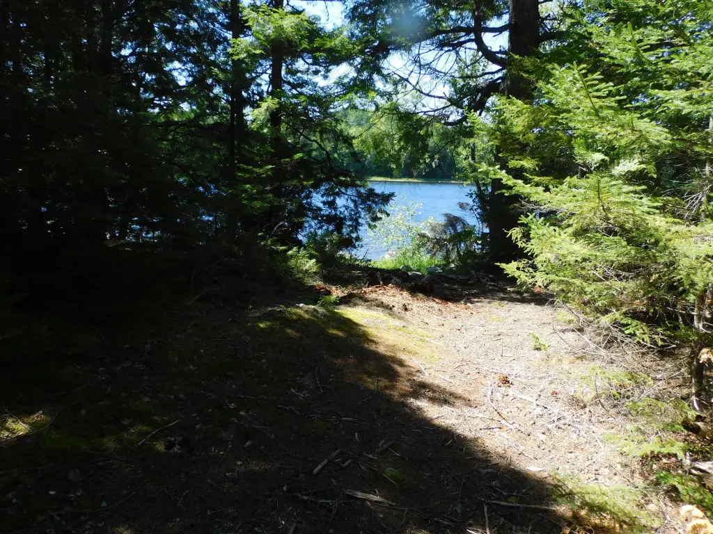 Picture 7