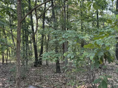 Hunting Land