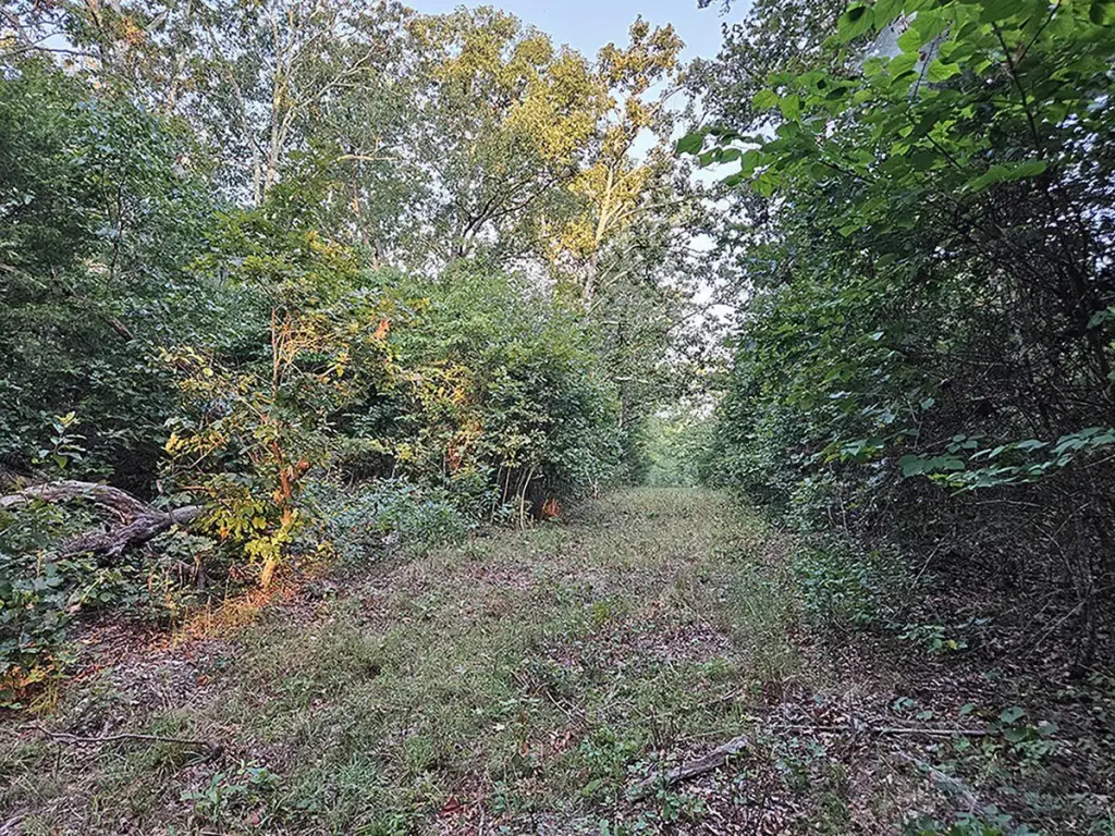 Picture 25