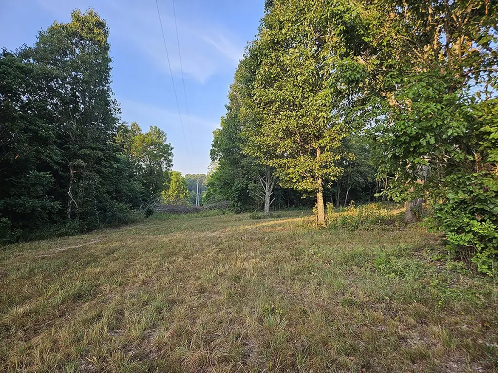 Picture 23