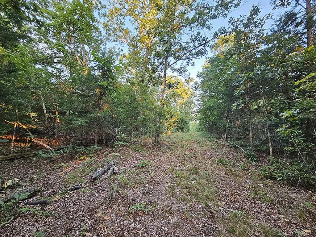 Picture 26