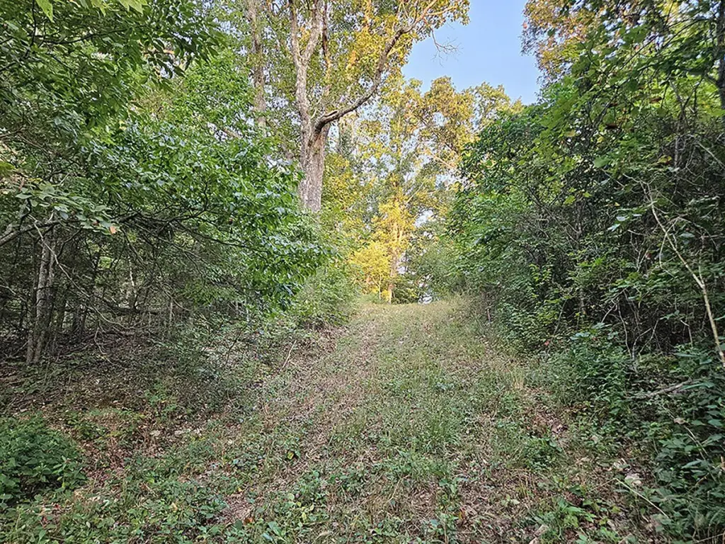 Picture 29