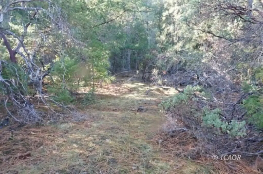 Picture 16