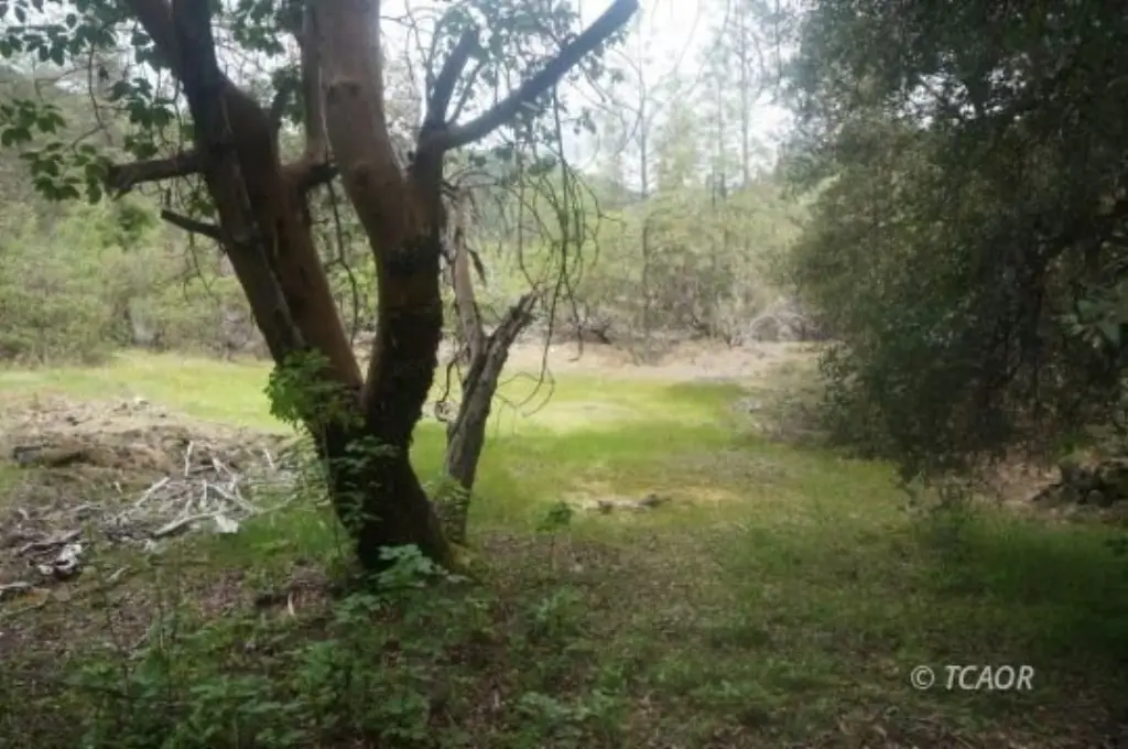 Picture 24