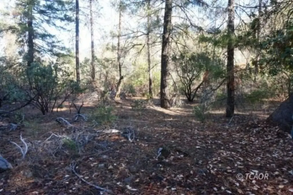 Picture 7