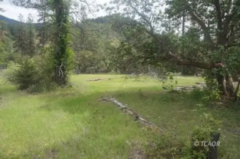 31.07 Acres Near Trinity River