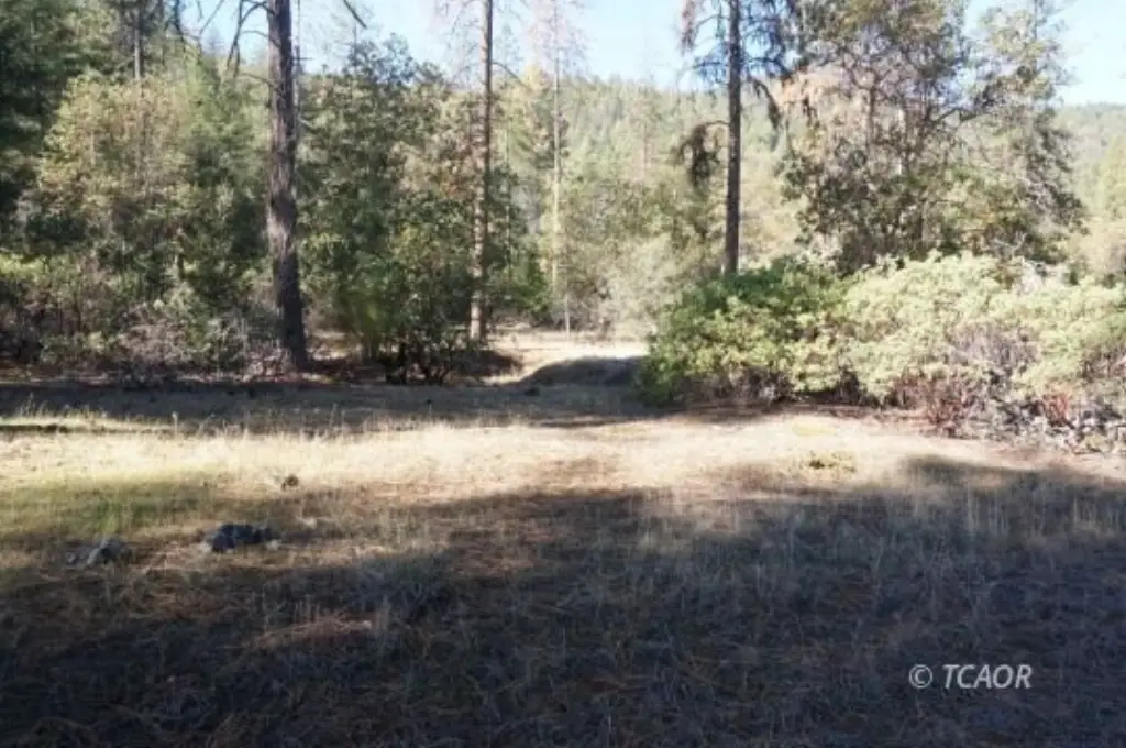 Picture 18