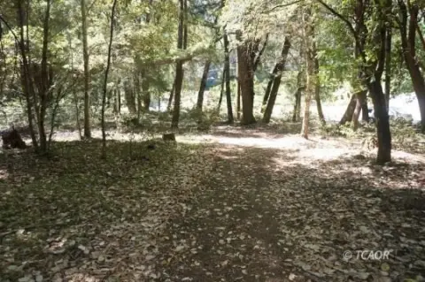 Usable Land with Agricultural Well