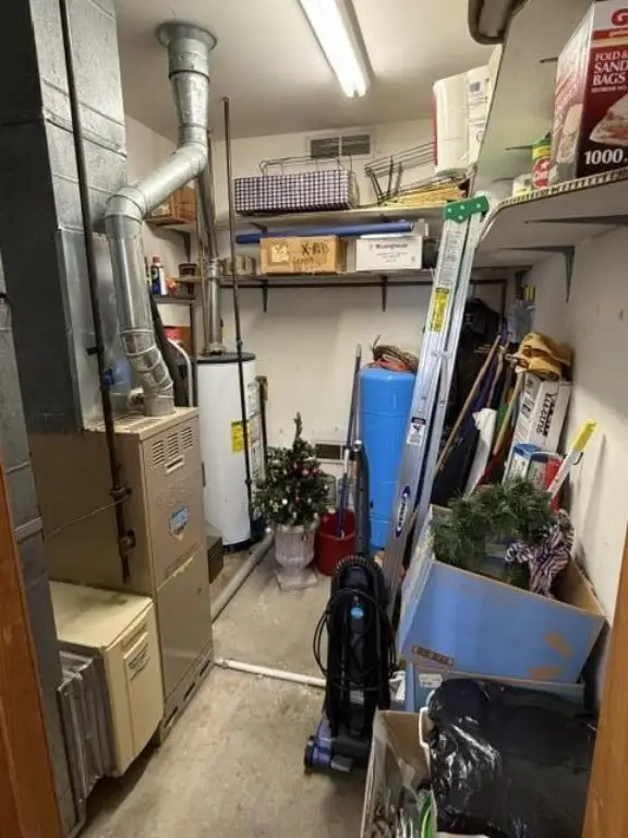 Picture 21