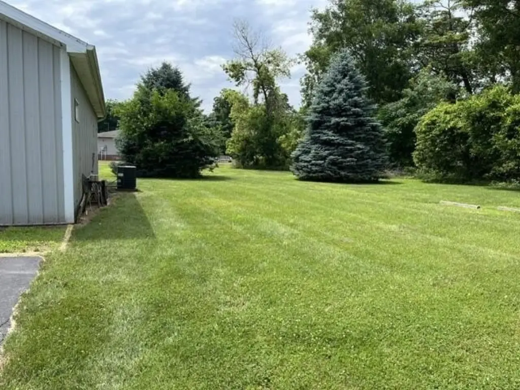 Picture 23