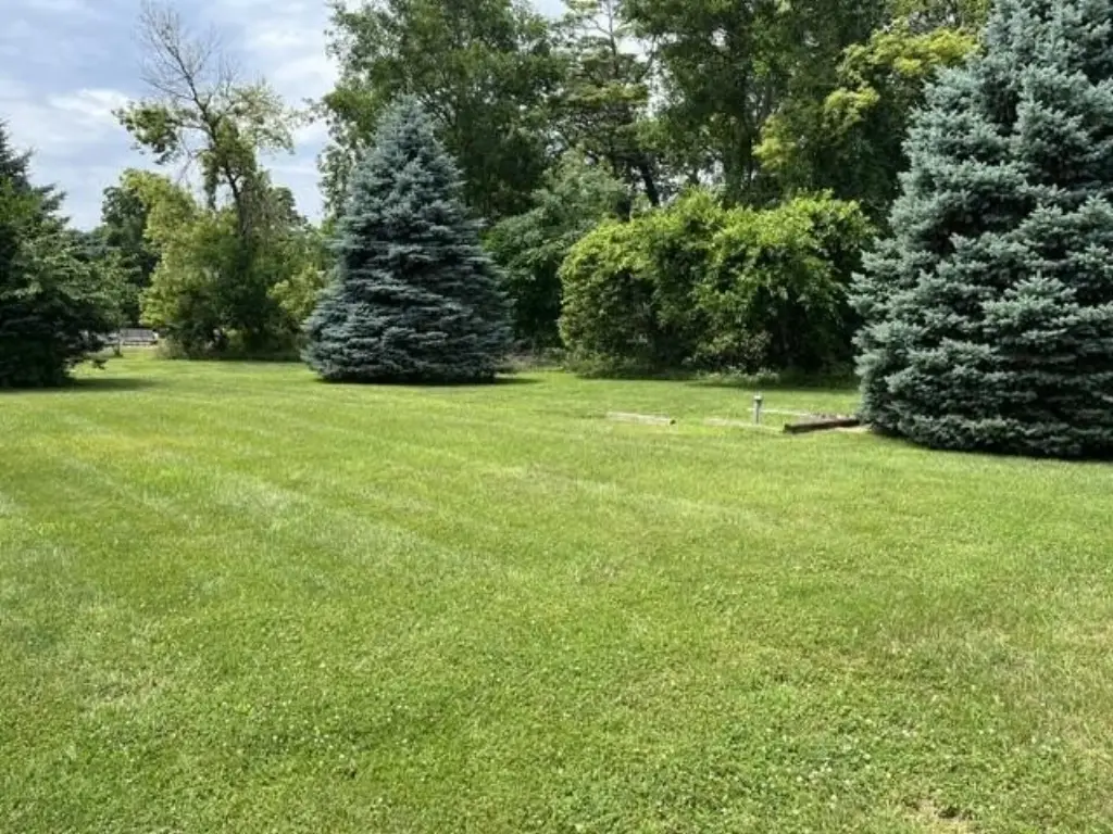 Picture 22