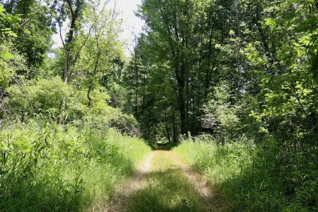 Picture 25