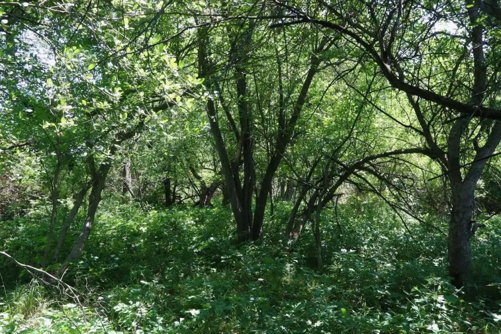 Picture 19