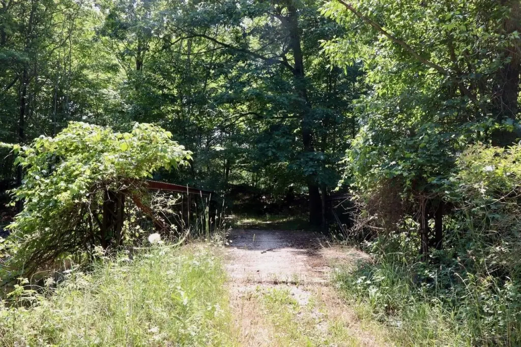 Picture 38