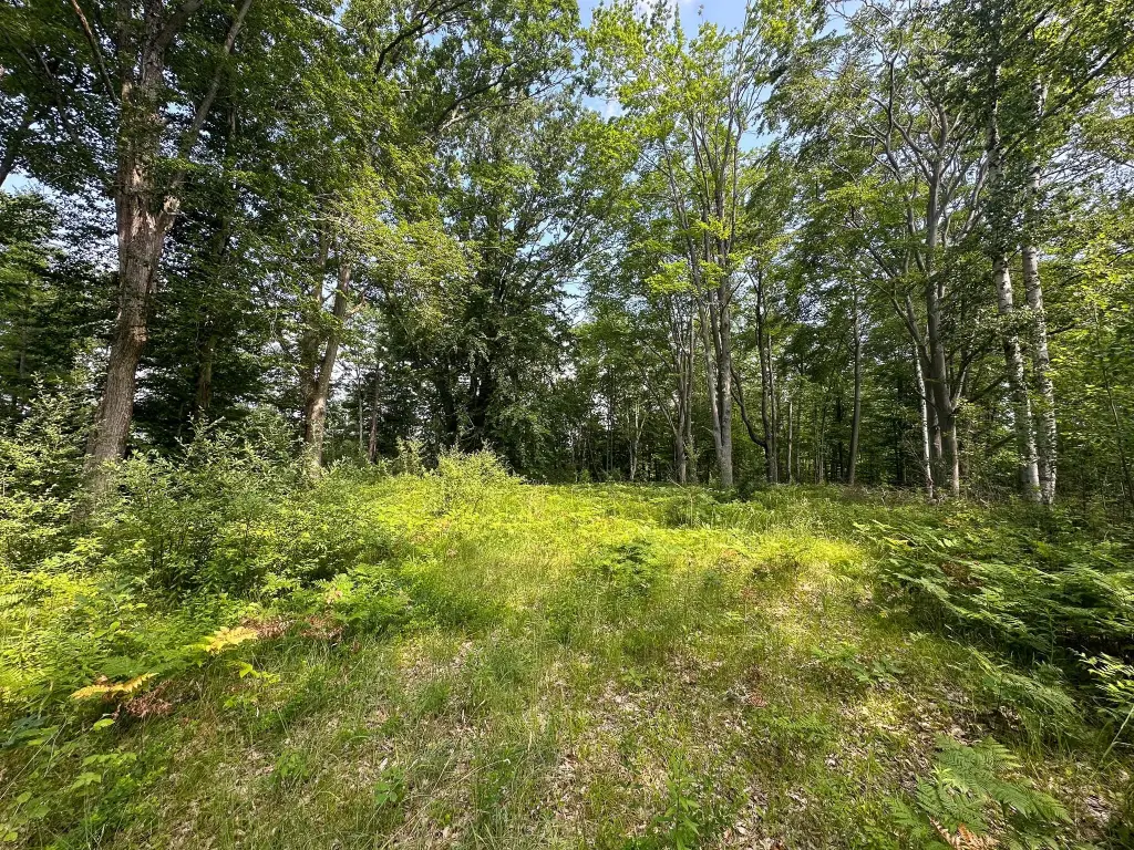 Picture 10