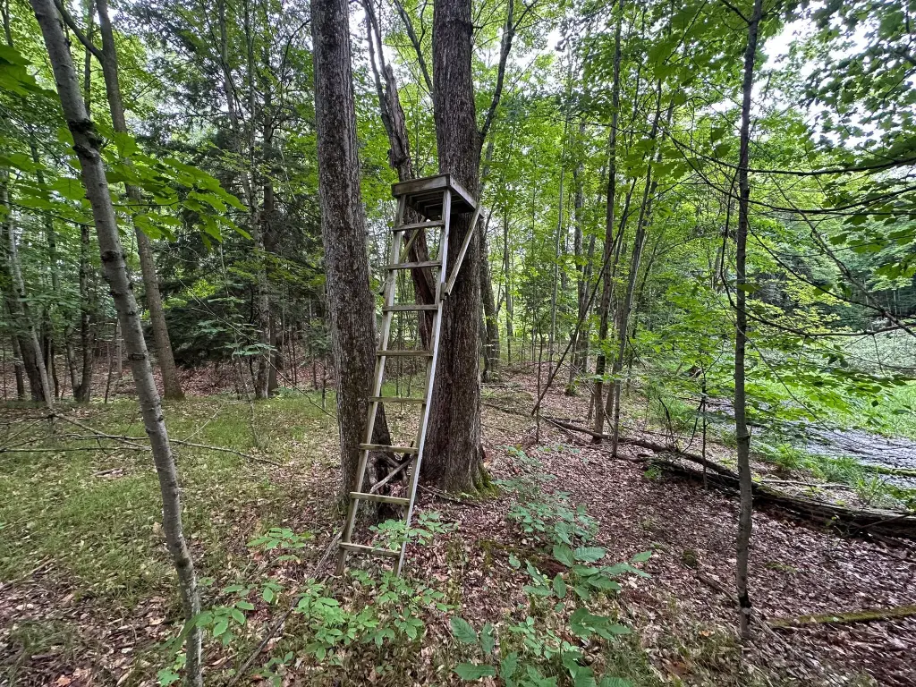 Picture 17