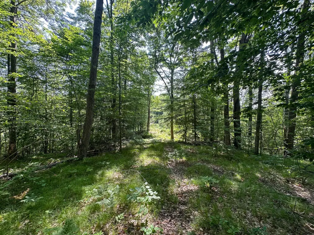 Picture 21