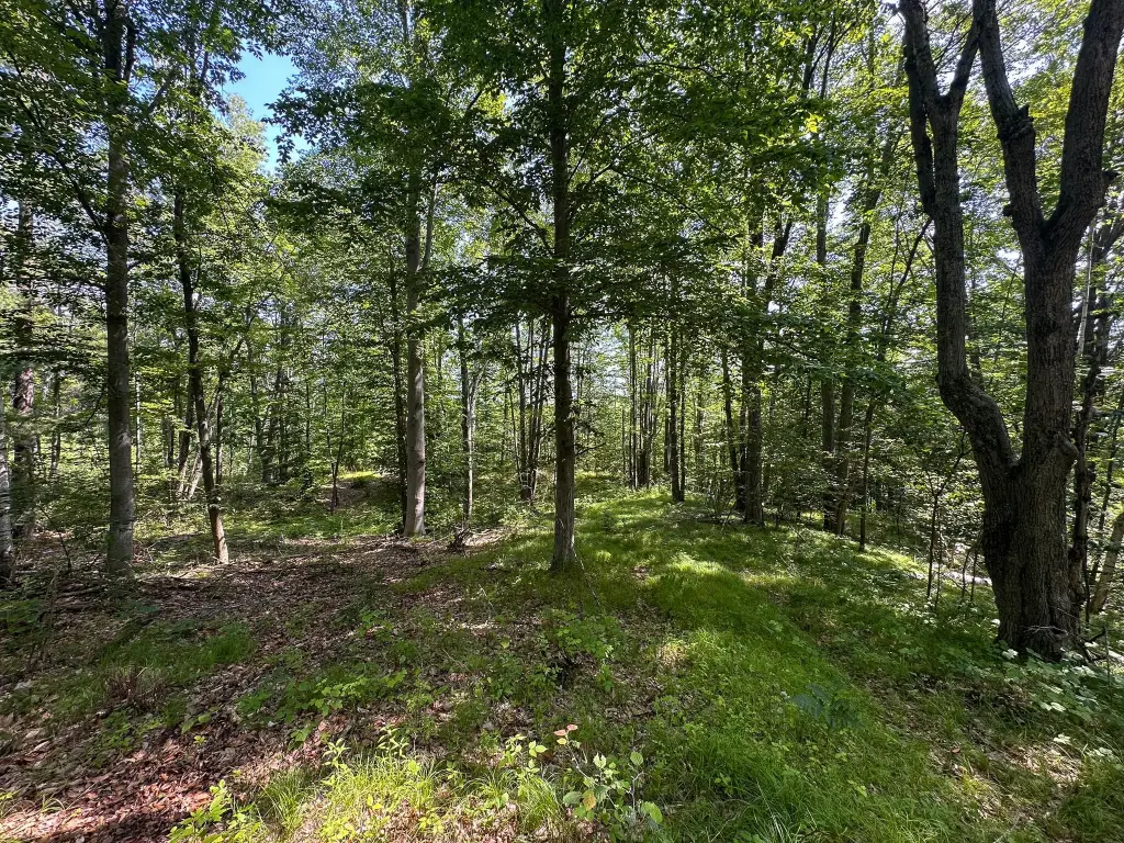 Picture 23
